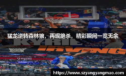易游体育官网