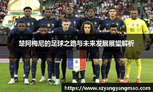 易游体育官网