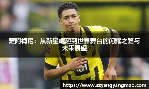 易游体育app