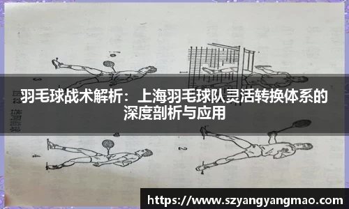 羽毛球战术解析：上海羽毛球队灵活转换体系的深度剖析与应用